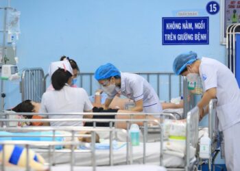 TP.HCM: Số ca bệnh nặng do sốt xuất huyết tăng hơn 7 lần