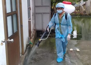 Thái Bình nâng cao công tác phòng, chống các dịch bệnh mùa hè