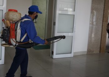 Đà Nẵng: Dịch sốt xuất huyết Dengue tăng cao nhất trong 5 năm qua