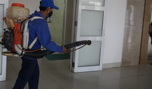 Đà Nẵng: Dịch sốt xuất huyết Dengue tăng cao nhất trong 5 năm qua