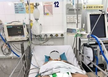 Số ca mắc sốt xuất huyết và tay chân miệng ở TP.HCM giảm