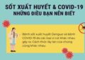 Sốt xuất huyết và COVID-19: Cách phân biệt để tránh nhầm lẫn