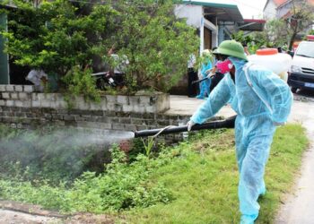 Hà Nội ghi nhận hơn 1.300 ca mắc sốt xuất huyết, tăng gấp 3 lần so với cùng kỳ 2021