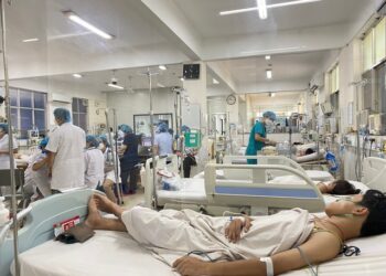 TP.HCM đã có 18 ca tử vong do sốt xuất huyết