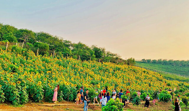 Điểm du lịch nổi tiếng Tây Bắc ghi nhận 130 ca COVID-19 cộng đồng