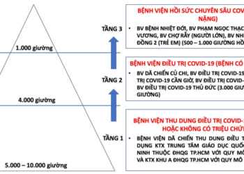 Chiến lược “tháp 3 tầng” điều trị COVID-19 tại TP.HCM 7