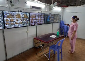 TP.HCM: Có thêm Bệnh viện dã chiến số 16
