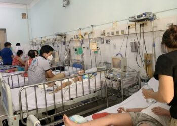 TP.HCM sẵn sàng các giải pháp đối phó với nguy cơ dịch chồng dịch