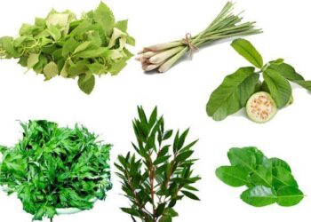 Xông hơi phòng COVID-19 dưới góc nhìn của chuyên gia hồi sức tích cực hàng đầu Việt Nam