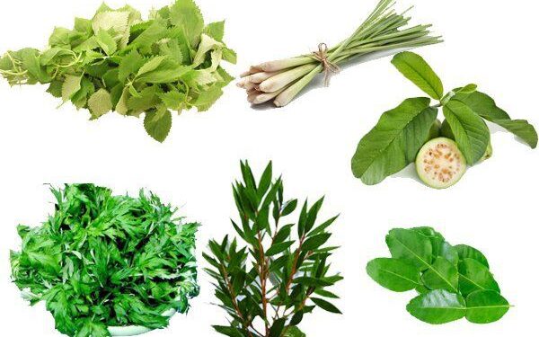 Xông hơi phòng COVID-19 dưới góc nhìn của chuyên gia hồi sức tích cực hàng đầu Việt Nam