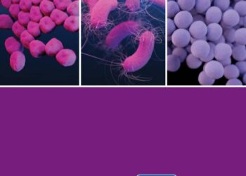 Giảm tỷ lệ nhập viện và các vi khuẩn đa kháng thuốc thông qua công tác kiểm soát nhiễm khuẩn trong bệnh viện và viện chăm sóc (Nursing Homes)