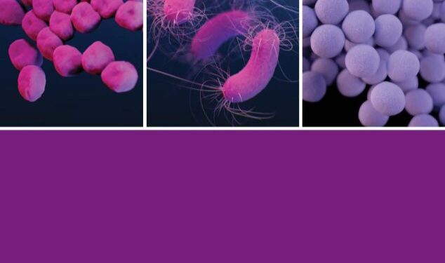 Giảm tỷ lệ nhập viện và các vi khuẩn đa kháng thuốc thông qua công tác kiểm soát nhiễm khuẩn trong bệnh viện và viện chăm sóc (Nursing Homes)